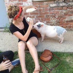 Meet your Posher, Mollie